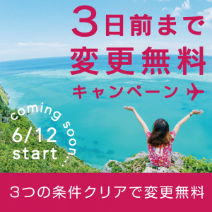 ブラックフライデー2020